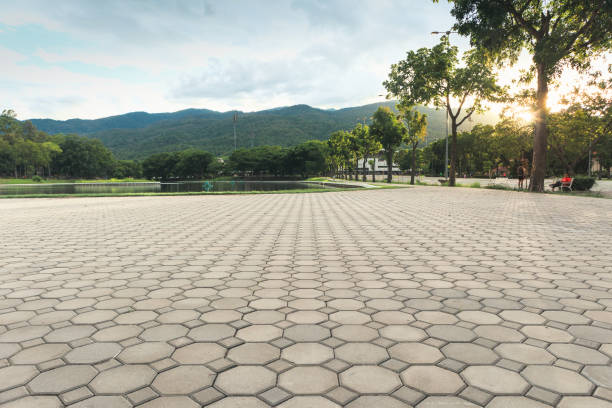 Best Driveway Repair Near Me  in Elkhorn, CA
